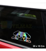 Tembel Köpek Hologram Araba Cam Oto Sticker Yapıştırma Etiket Çıkartma Etiket 20 X 10 Cm