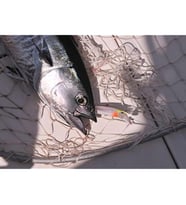 Rapala Husky Magnum Sahte Balığı