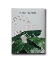 Green Plants Canvas Tablo MİND234
