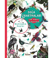 Muhteşem Kuşlar - Doğa Çıkartmaları