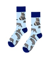 British kedi Desenli Mavi Soket Çorap