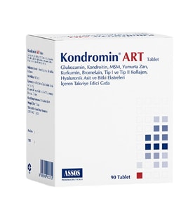 Kondromin Art Tablet 90 Tablet