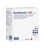 Kondromin Art Tablet 90 Tablet