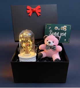 Siyah Hediye Kutusunda Pembe Peluş Ayıcık ve Led Işıklı Fanus Hediye Seti (Model 2)