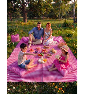 Pötikare Desenli - 170x220 Cm - Fuşya Renk - Çantalı Piknik Örtüsü ve 4'lü Minder Seti - Kamp Örtüsü