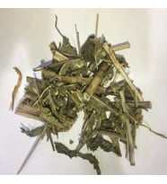 Hindibağı Bitkisi 30 Gr (Paket-Bitki) 1Adet, Lokman Aktar
