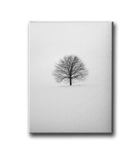 Ağaç Canvas Tablo MSD116