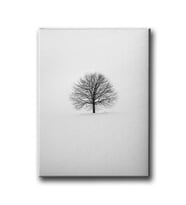 Ağaç Canvas Tablo MSD116