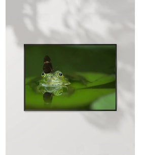 Su Altı Yaratığı Poster
