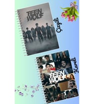 Teen wolf defter seti 2 adet A4 boyutu 21*30 çizgili + kareli 60 syf