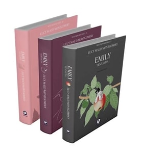 Rüzgarın Kızı Emily Serisi (3 Kitap)