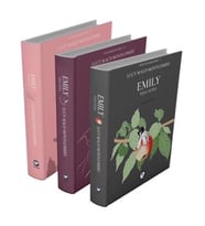 Rüzgarın Kızı Emily Serisi (3 Kitap)