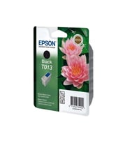 Epson T013-C13T01340120 Siyah Kartuş
