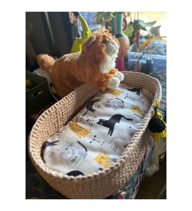 El Örgüsü Kedi Sepeti ve Yatağı, Rahat ve Şık Tasarım