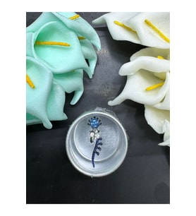 Yüz taşı Face Gems Yapışkan Burun Parmak Hızma Model31