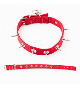 Dokuma Çivili Köpek Boyun Tasması - 4*70 cm - Kırmızı