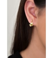 Papatya Silver 925 Ayar Gümüş Gold Kaplama Zirkon Taşlı Frezya Çiçeği Küpe (Yeşil)