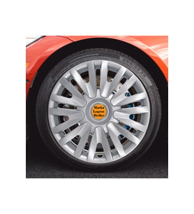 Ford 15'' Inc Uyumlu Takım Jant Kapağı TNC056