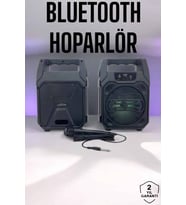 6.5 İnç Kablosuz Hoparlör Bluetooth Bağlantılı Yüksek Ses Kaliteli