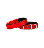 Doggie Softlu Köpek Boyun Tasması 2 cm x 40 cm Kırmızı