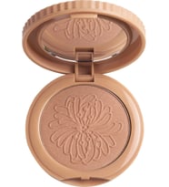 Pastel Pretty Cheeks Allık No-14 - Şeftali Pembe Renk, Yumuşak ve İpeksi Doku, Mikronize Toz, Işıltılı, Tüm Cilt Tiplerine Uygun (Şeftali - Açık Bej)
