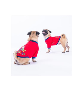 Pawstar Kedi ve KÜÇÜK Köpek Red Bone Hunter Sweat XL Sırt38cm Göğüs55cm Boyun34cm