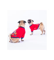 Pawstar Kedi ve KÜÇÜK Köpek Red Bone Hunter Sweat XL Sırt38cm Göğüs55cm Boyun34cm