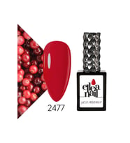 Profesyonel Kalıcı Oje 15 ml 2477