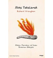 Ateşi Yakalamak