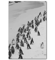 Cakatablo Beyaz Kumların Üzerinde Penguenler MDF Tablo