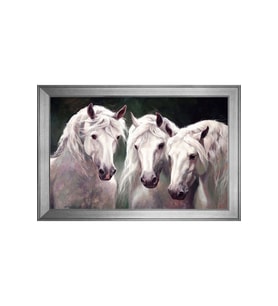 Hayvanlar Temalı Kanvas Tablo 50 x 70 cm Silver Çerçeve