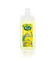 1 L Limon Kolonyası