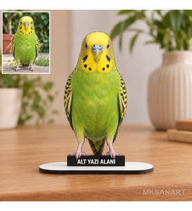Fotoğraftan Kişiye Özel Evcil Hayvan Fotoğraflı MDF Karikatürlü 18 cm MDF Masaüstü Biblo - Masaüstü Hediye 5. Model
