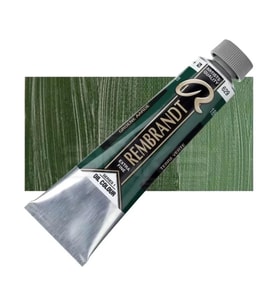 Rembrandt 40ml Yağlı Boya Seri:1 No:629 Green Earth