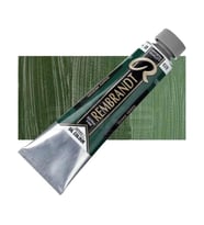 Rembrandt 40ml Yağlı Boya Seri:1 No:629 Green Earth