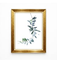 Tablore Minimalist Zeytin Dalı Temalı Beyaz Zemin Gold Çerçeveli Kanvas Tablo