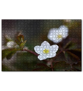 Cakapuzzle Beyaz Kırmızı Şarap Üzüm Şarap Küpü Görseli  Puzzle Yapboz MDF (Ahşap) (120 Parça)