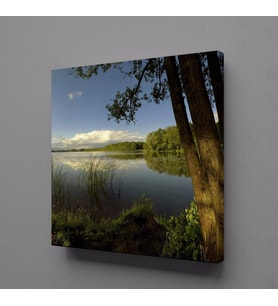 ORMAN AKARSU GÖKYÜZÜ KANVAS TABLO 80x80cm (Karışık)