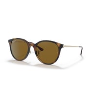 RB 4334D 710/83 55 Ray-Ban Polarize Güneş Gözlüğü