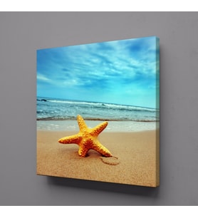 KUMSALDA DENİZ YILDIZI KANVAS TABLO 120x120cm (Karışık)