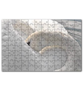 Cakapuzzle Tüylerini Temizleyen Zarif Beyaz Kuğu Puzzle Yapboz MDF (Ahşap) (120 Parça)