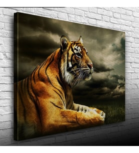 Çimenlerde Uzanan Kaplan Kanvas Tablo 50 x 70