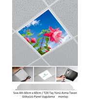 Asma Tavan-60cmx60cm-sıva Altı-54w-6500k-beyaz-led Panel-led Armatür-taş Yünü Asma Tavan-hastane Led