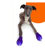 Köpek Galoşu (Walkies Galoş Patik) XXS Mavi