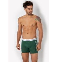 DoReMi Erkek Boxer-711 (Yeşil)