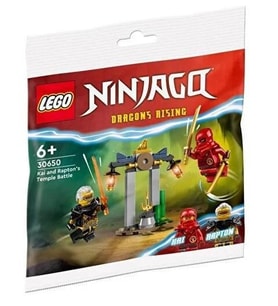 Lego Ninjago 30650 Kai And Rapton's Temple Battle (Çok Renkli)