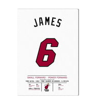 LeBron James 6 Forma Kanvas Tablo 40x55cm NBA Miami Heat Jersey