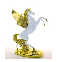 Pegasus Biblo