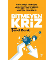 Bitmeyen Kriz