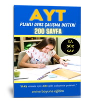 AYT Planlı Ders Çalışma Defteri (200 Sayfa)